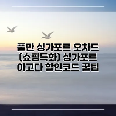 풀만 싱가포르 오차드 (쇼핑특화) 싱가포르 아고다 할인코드 꿀팁