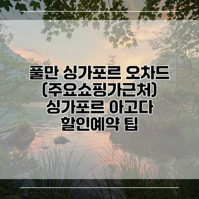 풀만 싱가포르 오차드 (주요쇼핑가근처) 싱가포르 아고다 할인예약 팁