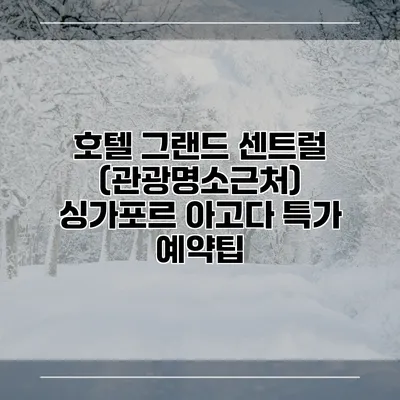 호텔 그랜드 센트럴 (관광명소근처) 싱가포르 아고다 특가 예약팁