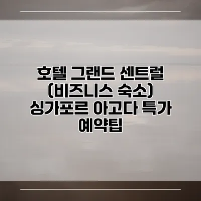 호텔 그랜드 센트럴 (비즈니스 숙소) 싱가포르 아고다 특가 예약팁