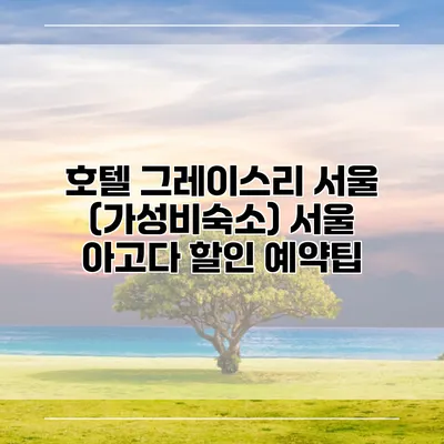 호텔 그레이스리 서울 (가성비숙소) 서울 아고다 할인 예약팁