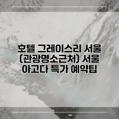 호텔 그레이스리 서울 (관광명소근처) 서울 아고다 특가 예약팁