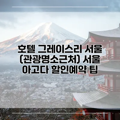 호텔 그레이스리 서울 (관광명소근처) 서울 아고다 할인예약 팁