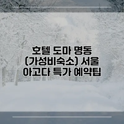 호텔 도마 명동 (가성비숙소) 서울 아고다 특가 예약팁