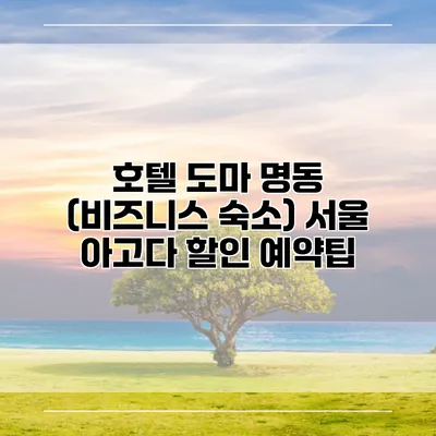 호텔 도마 명동 (비즈니스 숙소) 서울 아고다 할인 예약팁