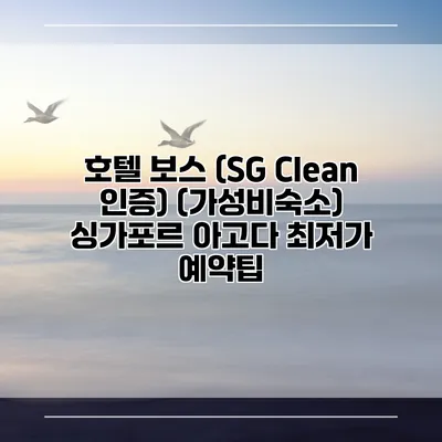 호텔 보스 (SG Clean 인증) (가성비숙소) 싱가포르 아고다 최저가 예약팁