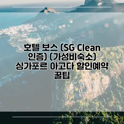 호텔 보스 (SG Clean 인증) (가성비숙소) 싱가포르 아고다 할인예약 꿀팁
