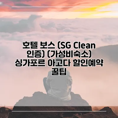호텔 보스 (SG Clean 인증) (가성비숙소) 싱가포르 아고다 할인예약 꿀팁