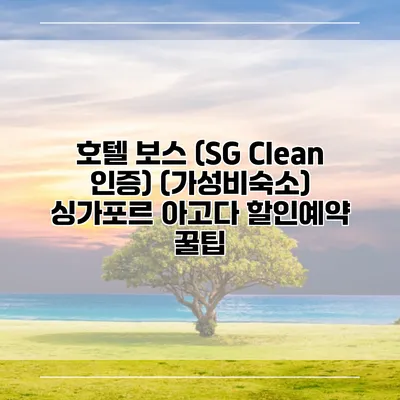 호텔 보스 (SG Clean 인증) (가성비숙소) 싱가포르 아고다 할인예약 꿀팁