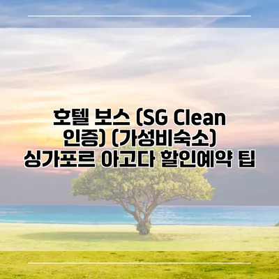호텔 보스 (SG Clean 인증) (가성비숙소) 싱가포르 아고다 할인예약 팁