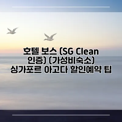 호텔 보스 (SG Clean 인증) (가성비숙소) 싱가포르 아고다 할인예약 팁