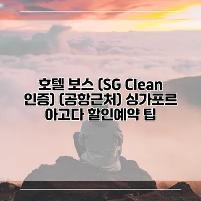 호텔 보스 (SG Clean 인증) (공항근처) 싱가포르 아고다 할인예약 팁