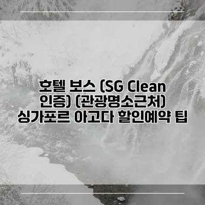 호텔 보스 (SG Clean 인증) (관광명소근처) 싱가포르 아고다 할인예약 팁