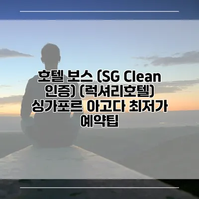 호텔 보스 (SG Clean 인증) (럭셔리호텔) 싱가포르 아고다 최저가 예약팁