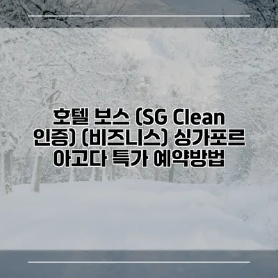 호텔 보스 (SG Clean 인증) (비즈니스) 싱가포르 아고다 특가 예약방법