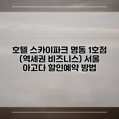 호텔 스카이파크 명동 1호점 (역세권 비즈니스) 서울 아고다 할인예약 방법