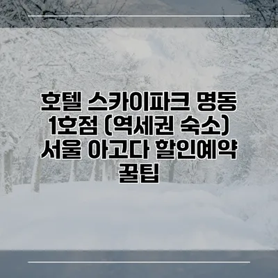 호텔 스카이파크 명동 1호점 (역세권 숙소) 서울 아고다 할인예약 꿀팁