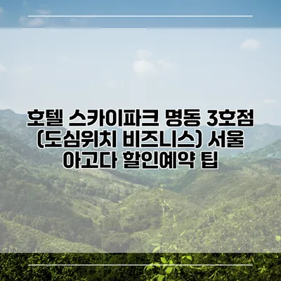 호텔 스카이파크 명동 3호점 (도심위치 비즈니스) 서울 아고다 할인예약 팁