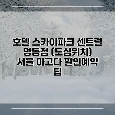 호텔 스카이파크 센트럴 명동점 (도심위치) 서울 아고다 할인예약 팁