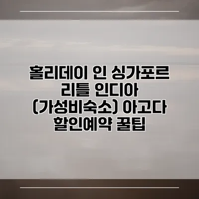 홀리데이 인 싱가포르 리틀 인디아 (가성비숙소) 아고다 할인예약 꿀팁