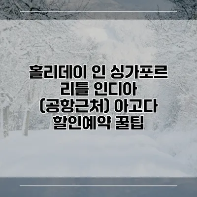 홀리데이 인 싱가포르 리틀 인디아 (공항근처) 아고다 할인예약 꿀팁