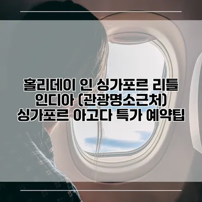 홀리데이 인 싱가포르 리틀 인디아 (관광명소근처) 싱가포르 아고다 특가 예약팁
