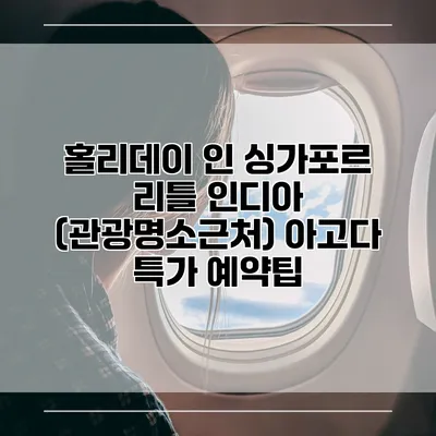 홀리데이 인 싱가포르 리틀 인디아 (관광명소근처) 아고다 특가 예약팁