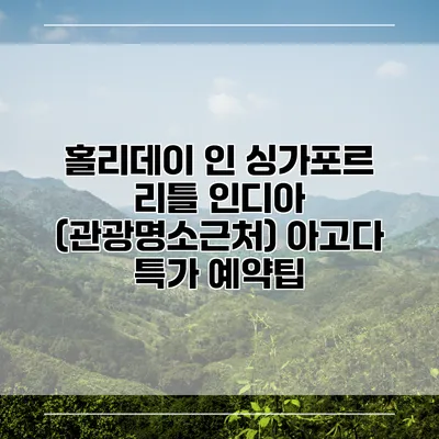 홀리데이 인 싱가포르 리틀 인디아 (관광명소근처) 아고다 특가 예약팁