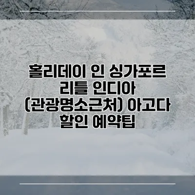 홀리데이 인 싱가포르 리틀 인디아 (관광명소근처) 아고다 할인 예약팁