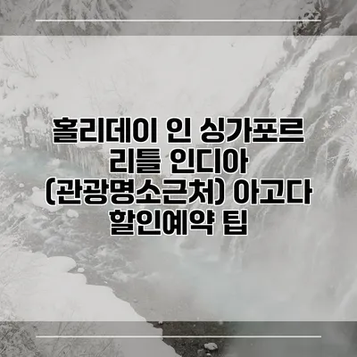 홀리데이 인 싱가포르 리틀 인디아 (관광명소근처) 아고다 할인예약 팁