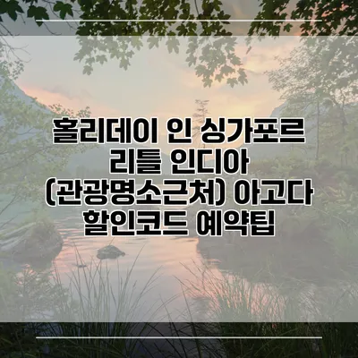홀리데이 인 싱가포르 리틀 인디아 (관광명소근처) 아고다 할인코드 예약팁
