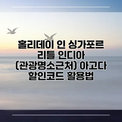 홀리데이 인 싱가포르 리틀 인디아 (관광명소근처) 아고다 할인코드 활용법