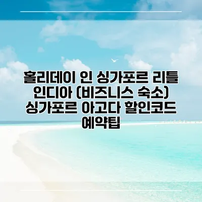 홀리데이 인 싱가포르 리틀 인디아 (비즈니스 숙소) 싱가포르 아고다 할인코드 예약팁