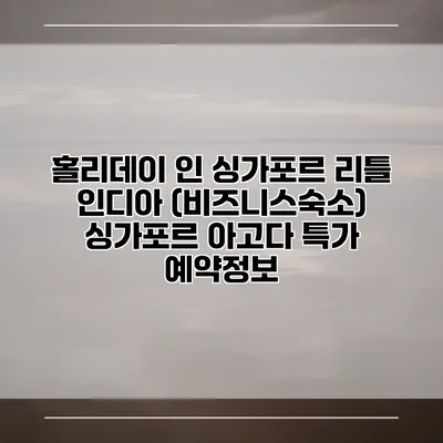 홀리데이 인 싱가포르 리틀 인디아 (비즈니스숙소) 싱가포르 아고다 특가 예약정보