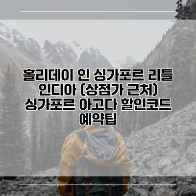 홀리데이 인 싱가포르 리틀 인디아 (상점가 근처) 싱가포르 아고다 할인코드 예약팁