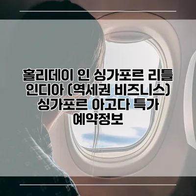 홀리데이 인 싱가포르 리틀 인디아 (역세권 비즈니스) 싱가포르 아고다 특가 예약정보
