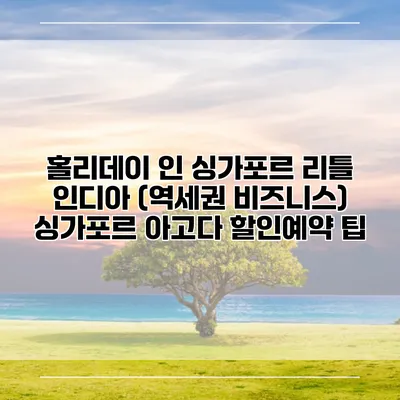 홀리데이 인 싱가포르 리틀 인디아 (역세권 비즈니스) 싱가포르 아고다 할인예약 팁