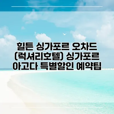 힐튼 싱가포르 오차드 (럭셔리호텔) 싱가포르 아고다 특별할인 예약팁