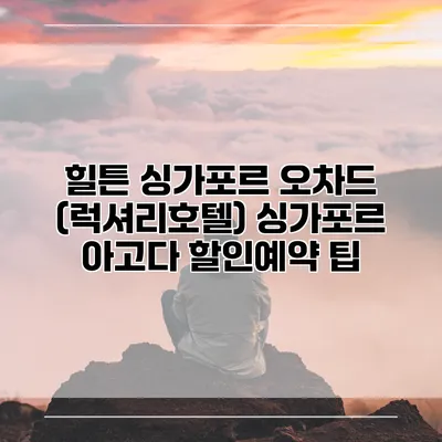 힐튼 싱가포르 오차드 (럭셔리호텔) 싱가포르 아고다 할인예약 팁