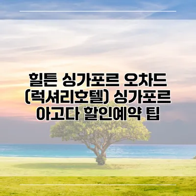 힐튼 싱가포르 오차드 (럭셔리호텔) 싱가포르 아고다 할인예약 팁
