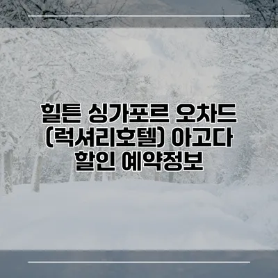 힐튼 싱가포르 오차드 (럭셔리호텔) 아고다 할인 예약정보