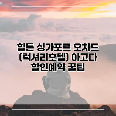 힐튼 싱가포르 오차드 (럭셔리호텔) 아고다 할인예약 꿀팁