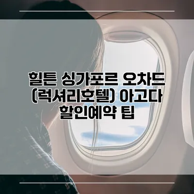 힐튼 싱가포르 오차드 (럭셔리호텔) 아고다 할인예약 팁