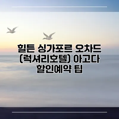 힐튼 싱가포르 오차드 (럭셔리호텔) 아고다 할인예약 팁