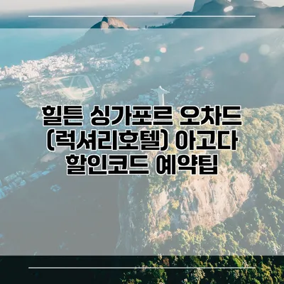 힐튼 싱가포르 오차드 (럭셔리호텔) 아고다 할인코드 예약팁