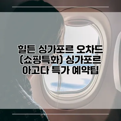힐튼 싱가포르 오차드 (쇼핑특화) 싱가포르 아고다 특가 예약팁