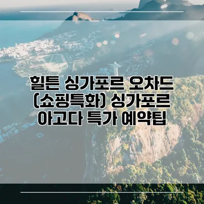 힐튼 싱가포르 오차드 (쇼핑특화) 싱가포르 아고다 특가 예약팁