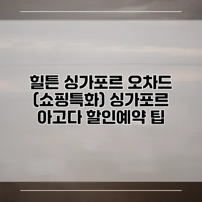 힐튼 싱가포르 오차드 (쇼핑특화) 싱가포르 아고다 할인예약 팁